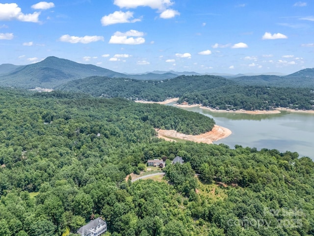 198 Sugarbush Pt, Lake Lure, NC 28746 - drone / aerial view of a water and mountain view