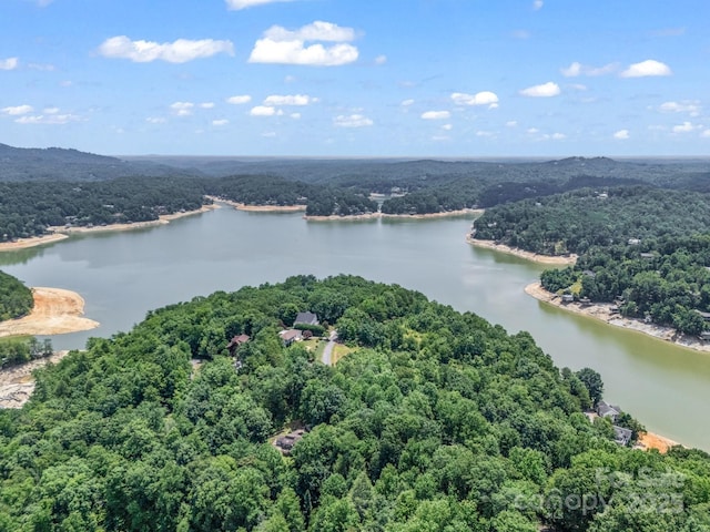 198 Sugarbush Pt, Lake Lure, NC 28746 - bird's eye view of a forest and a nearby body of water