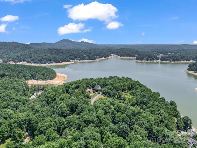 198 Sugarbush Pt, Lake Lure, NC 28746 - bird's eye view of a forest and a nearby body of water