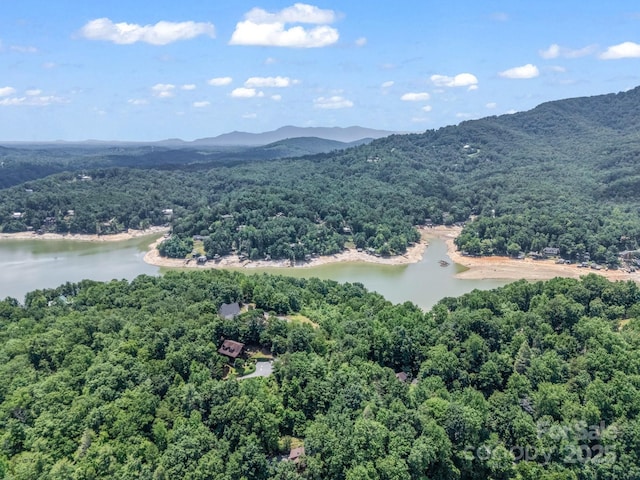 198 Sugarbush Pt, Lake Lure, NC 28746 - bird's eye view of a heavily wooded area and a water and mountain view