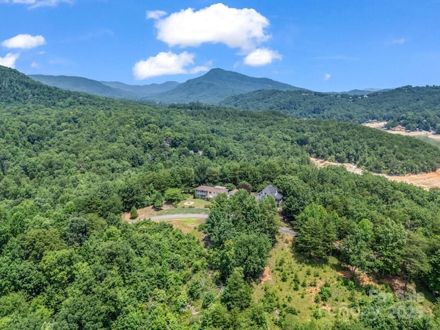 198 Sugarbush Pt, Lake Lure, NC 28746 - view of mountain background featuring a forest