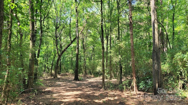 7908 Concord Hwy, Monroe, NC 28110 - photo 11