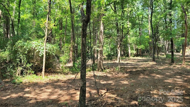 7908 Concord Hwy, Monroe, NC 28110 - photo 12