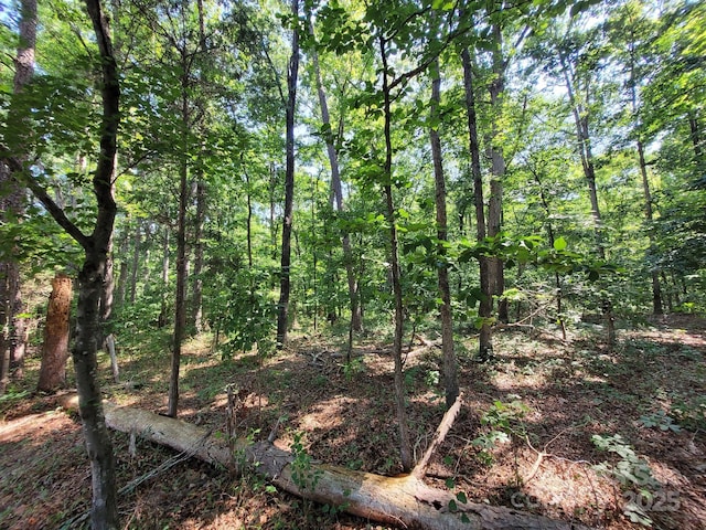 7908 Concord Hwy, Monroe, NC 28110 - photo 14