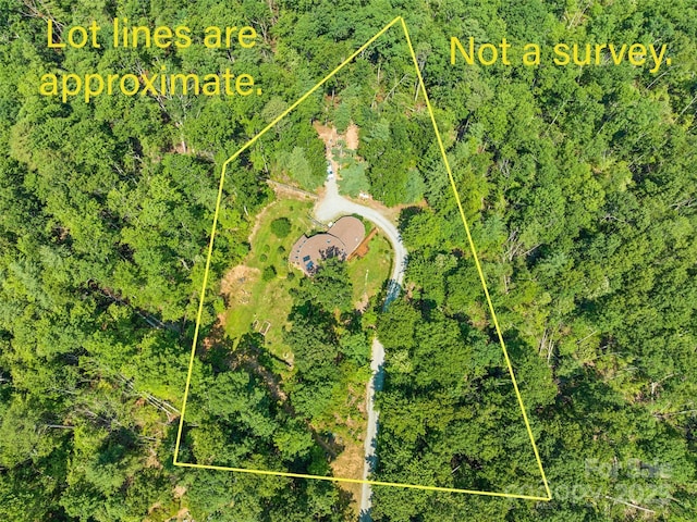 2675 Holbert Cove Rd, Saluda, NC 28773 - photo 10