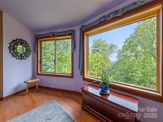 2675 Holbert Cove Rd, Saluda, NC 28773 - photo 33