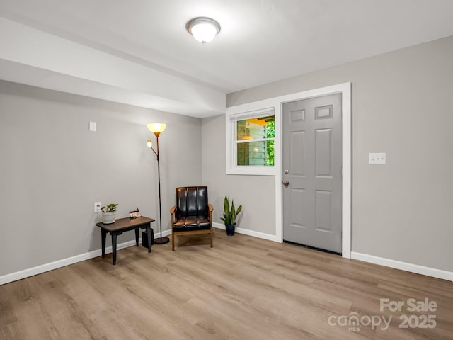 1463 Carolina Dr, Tryon, NC 28782 - foyer featuring light wood finished floors and baseboards