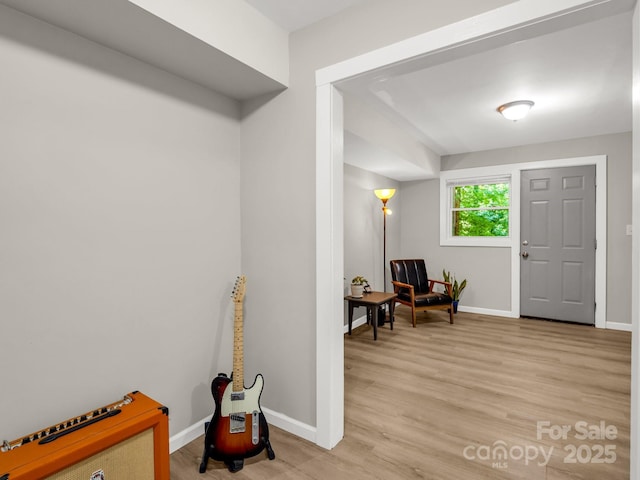 1463 Carolina Dr, Tryon, NC 28782 - foyer featuring light wood-type flooring and baseboards