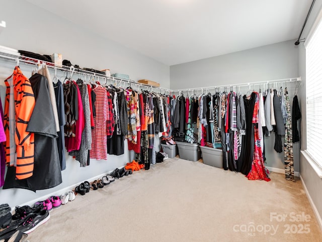4316 Davis Meadows Dr, Charlotte, NC 28216 - walk in closet with carpet