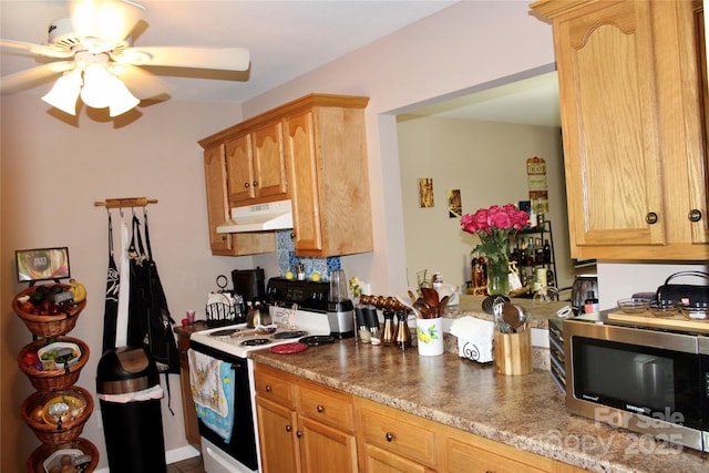 544 Tracy Grove Rd, Flat Rock, NC 28731 - kitchen featuring under cabinet range hood, electric stove, stainless steel microwave, a ceiling fan, and light brown cabinets