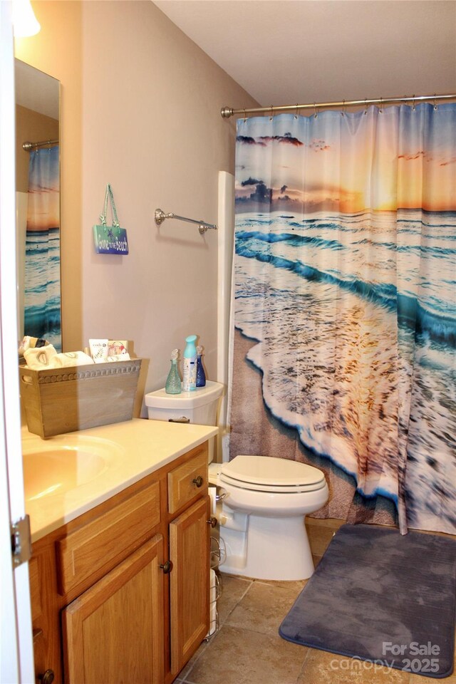 544 Tracy Grove Rd, Flat Rock, NC 28731 - bathroom with vanity and a shower with curtain