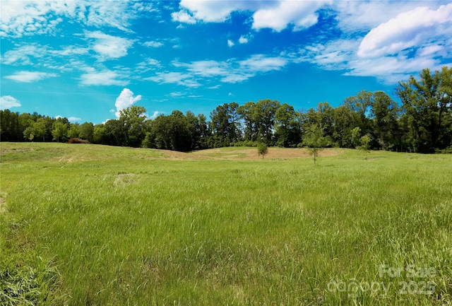 00 Lowrys Hwy, Chester, SC 29706 - photo 1