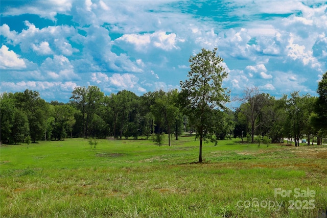 00 Lowrys Hwy, Chester, SC 29706 - photo 2