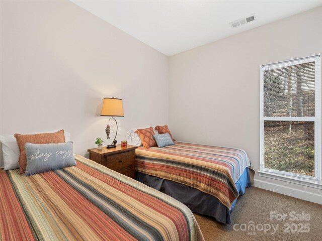 36 Last Coyote Trl, Canton, NC 28716 - photo 19