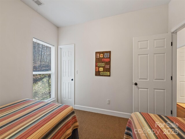 36 Last Coyote Trl, Canton, NC 28716 - photo 21