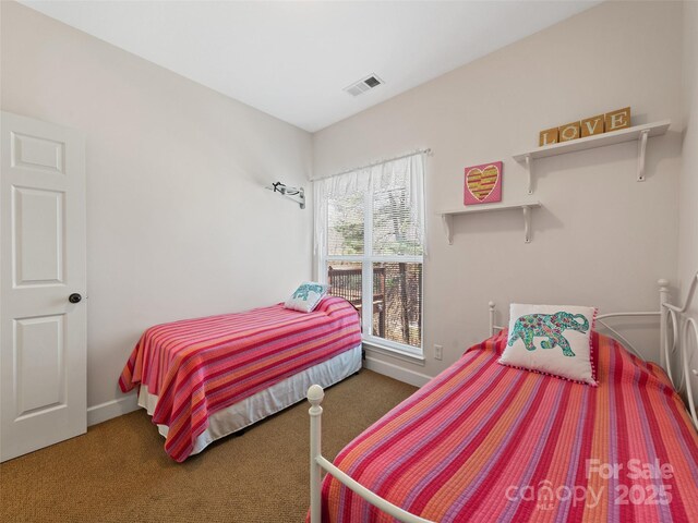 36 Last Coyote Trl, Canton, NC 28716 - photo 24