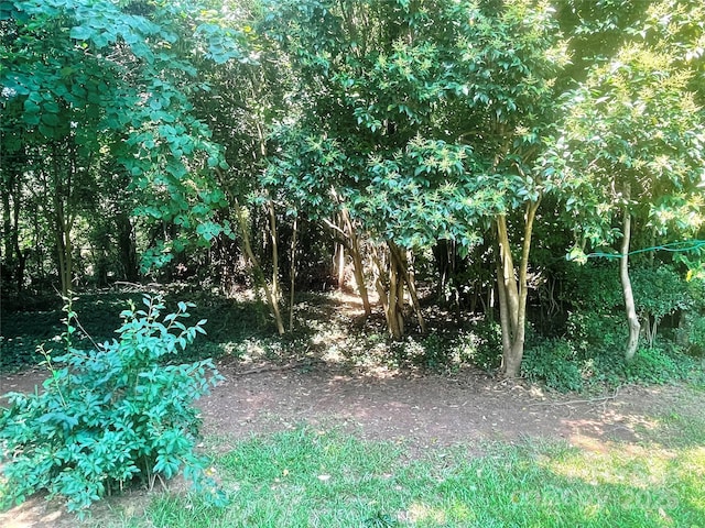 1834 Sharonwood Ln, Rock Hill, SC 29732 - photo 24