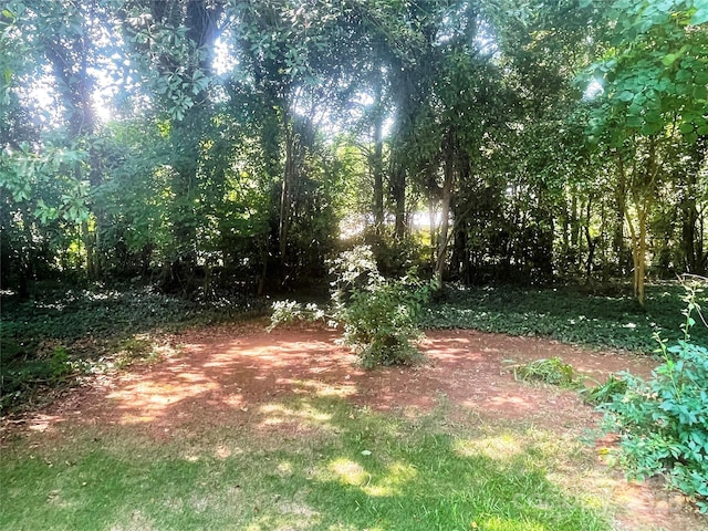 1834 Sharonwood Ln, Rock Hill, SC 29732 - photo 25