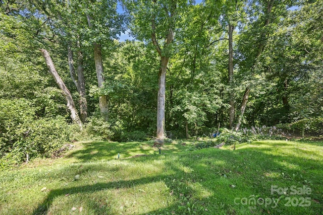 315 Fairfax Ave, Asheville, NC 28806 - photo 38