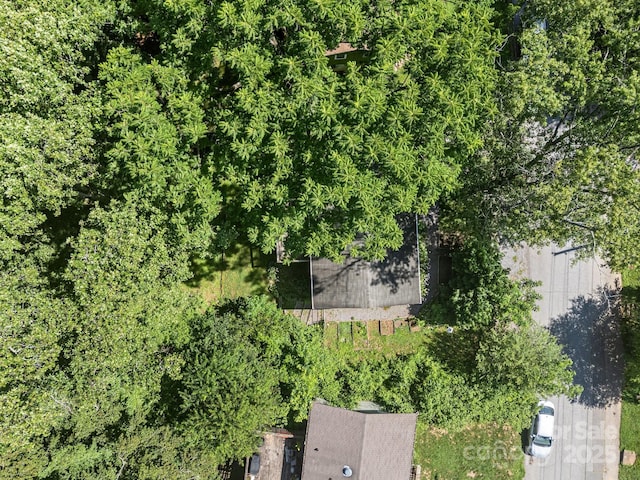 315 Fairfax Ave, Asheville, NC 28806 - photo 39