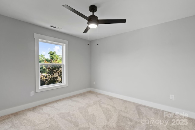 35 Lowe Ave, Asheville, NC 28803 - photo 15