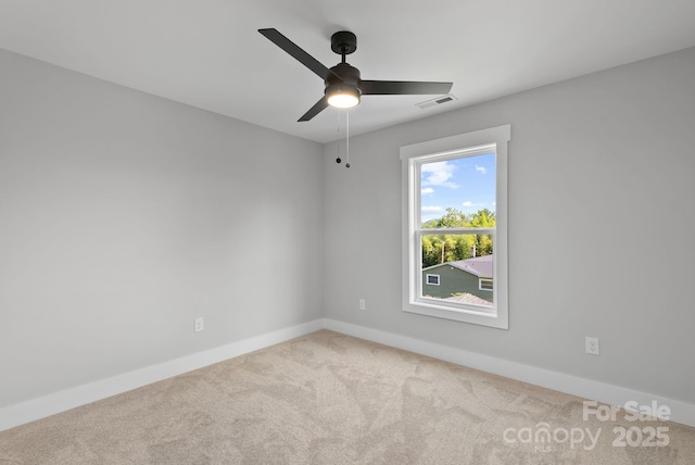 35 Lowe Ave, Asheville, NC 28803 - photo 17