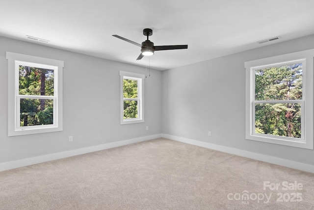 35 Lowe Ave, Asheville, NC 28803 - photo 20