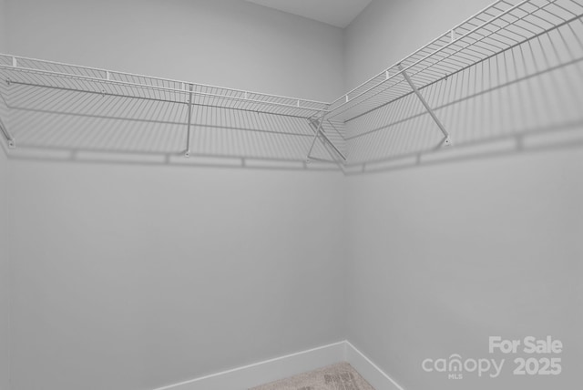 35 Lowe Ave, Asheville, NC 28803 - photo 22