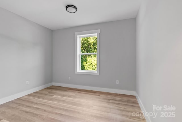 35 Lowe Ave, Asheville, NC 28803 - photo 29
