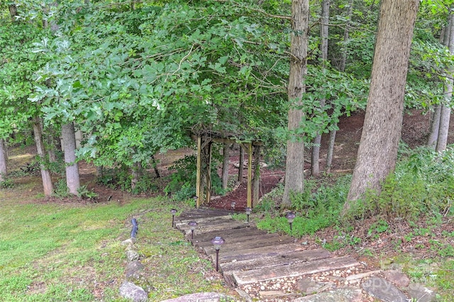 68 Locust Meadow Ln, Weaverville, NC 28787 - photo 31