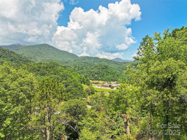 371 Clearview Dr, Waynesville, NC 28786 - mountain view with a heavily wooded area