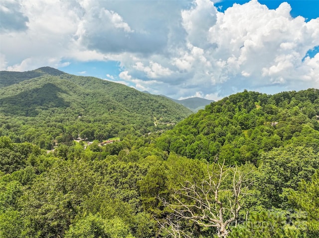 371 Clearview Dr, Waynesville, NC 28786 - view of mountain backdrop featuring a heavily wooded area