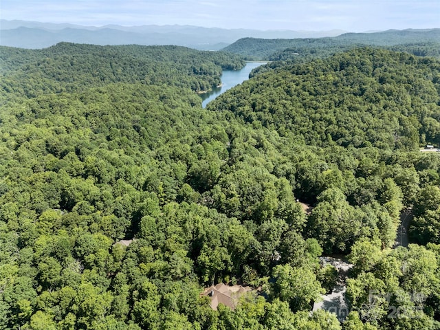 3094 Connestee Trl, Brevard, NC 28712 - drone / aerial view of a heavily wooded area and a water and mountain view