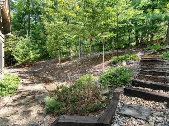 3094 Connestee Trl, Brevard, NC 28712 - view of yard featuring stairway