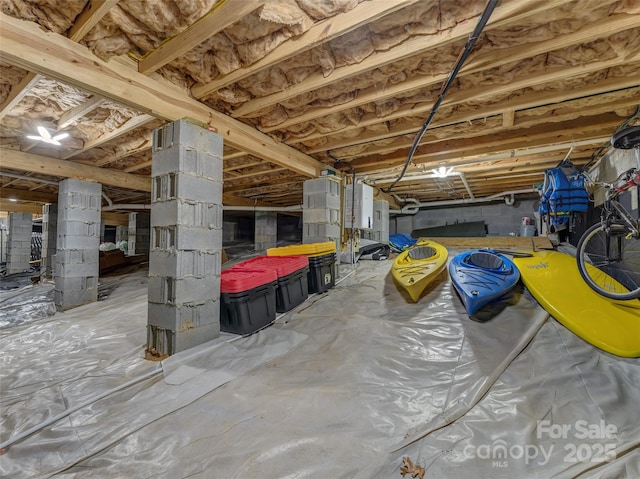 3094 Connestee Trl, Brevard, NC 28712 - view of unfinished basement