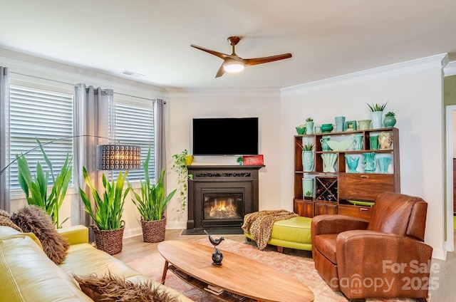 773 Summerfield Pl, Flat Rock, NC 28731 - living room featuring a ceiling fan, crown molding, a fireplace with flush hearth, and wood finished floors