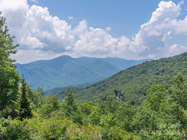 574 Leatherwood Dr, Maggie Valley, NC 28751 - photo 7