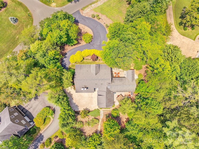 65 Hillcrest Dr, Weaverville, NC 28787 - photo 45