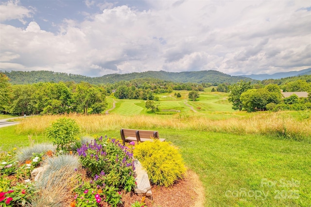 65 Hillcrest Dr, Weaverville, NC 28787 - photo 46