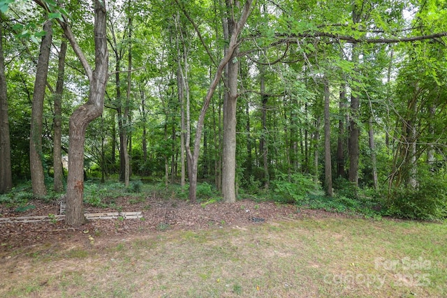 3015 Rochester Ct, Monroe, NC 28110 - photo 40