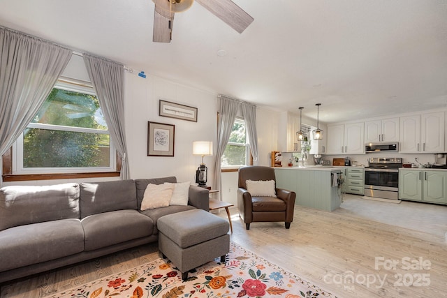 301 Rosemont Ave SE, Concord, NC 28025 - living room featuring light wood finished floors and a ceiling fan