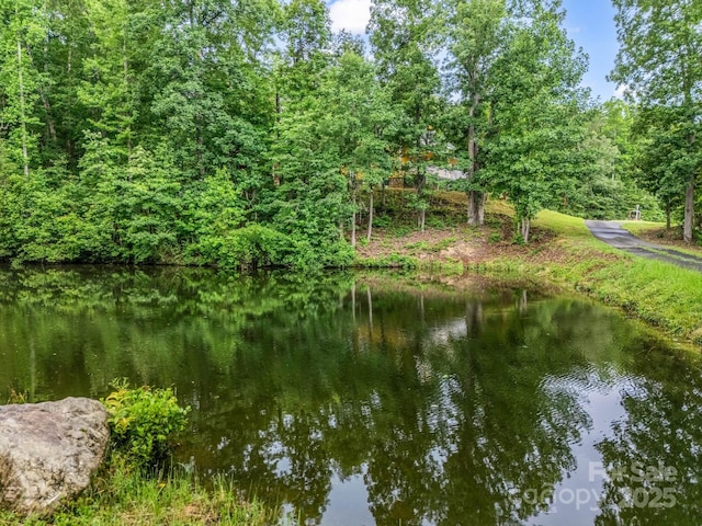 4086 Big Island Rd, Rutherfordton, NC 28139 - photo 3