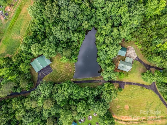 4086 Big Island Rd, Rutherfordton, NC 28139 - photo 4