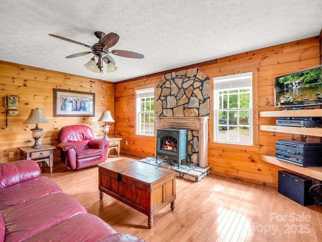 4086 Big Island Rd, Rutherfordton, NC 28139 - photo 5