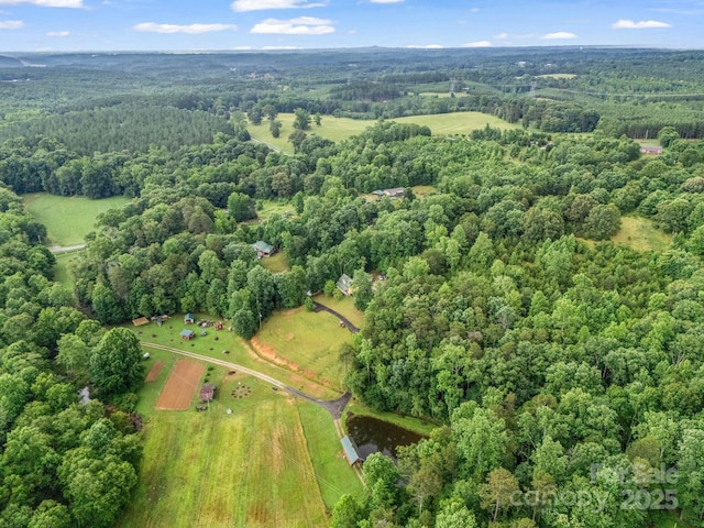 4086 Big Island Rd, Rutherfordton, NC 28139 - photo 43