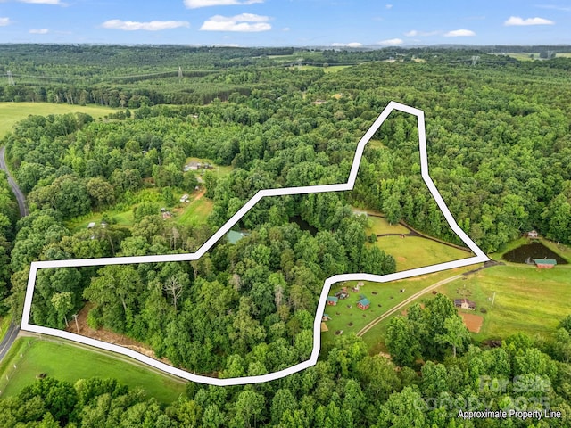 4086 Big Island Rd, Rutherfordton, NC 28139 - photo 44