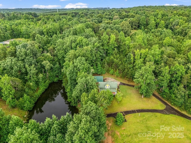 4086 Big Island Rd, Rutherfordton, NC 28139 - photo 46