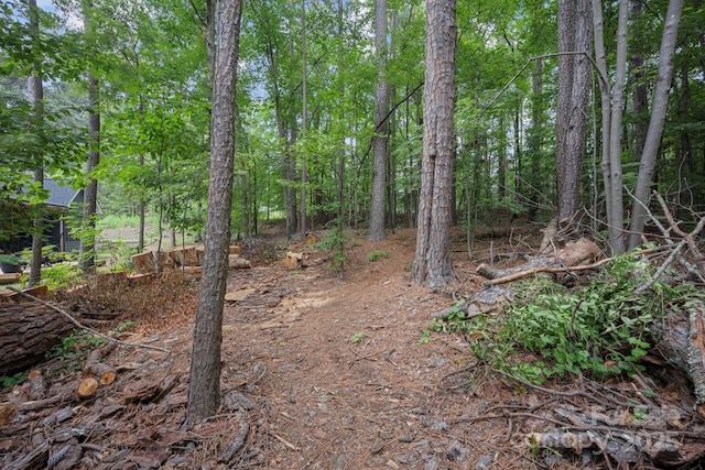 140 Quiet Cove Rd, Mooresville, NC 28117 - photo 32