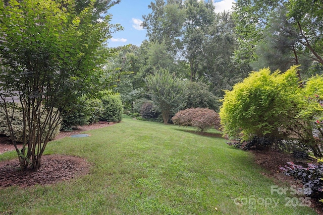 140 Quiet Cove Rd, Mooresville, NC 28117 - photo 35