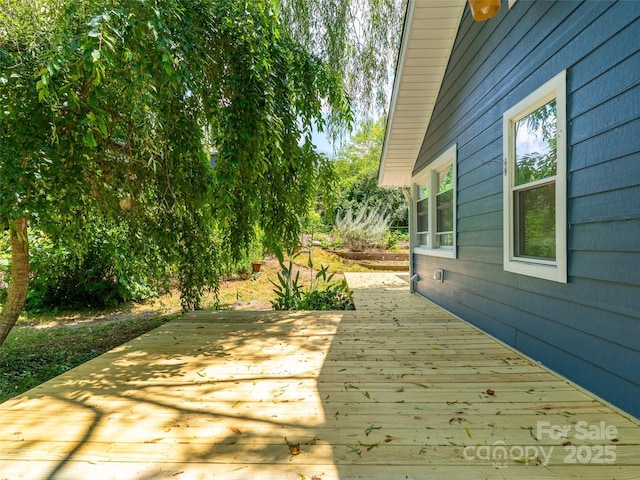 83 5th Ave, Asheville, NC 28806 - photo 9